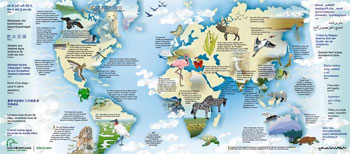 wetlands biome world map